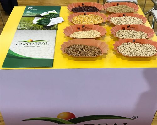 eventosindia-6