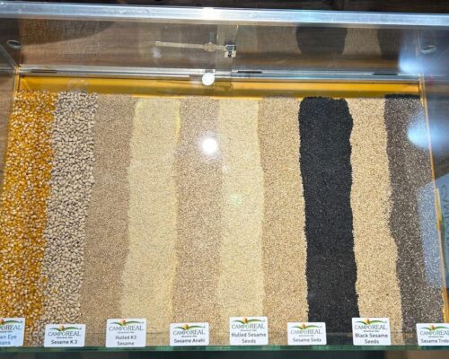 Gulfood 2025 em Dubai (1)